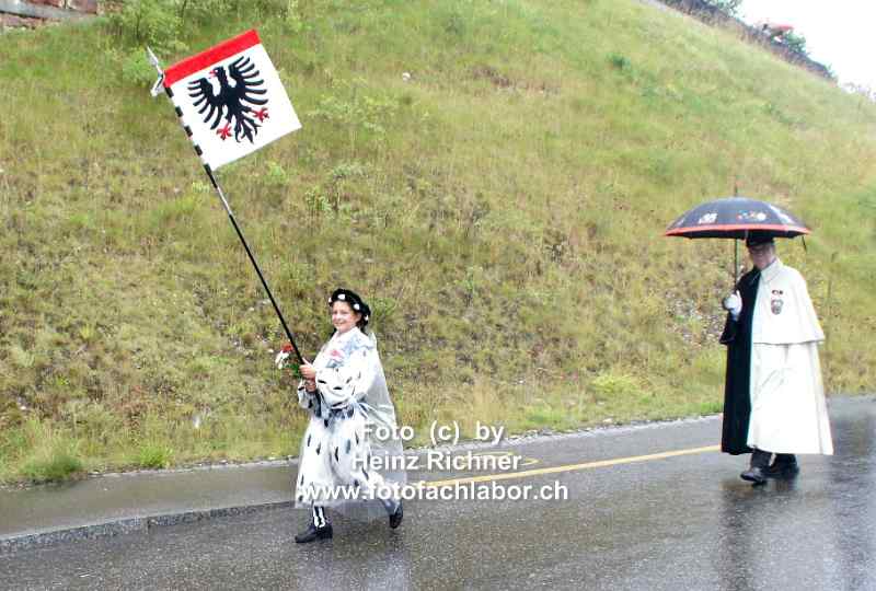 22151 maienzug.jpg